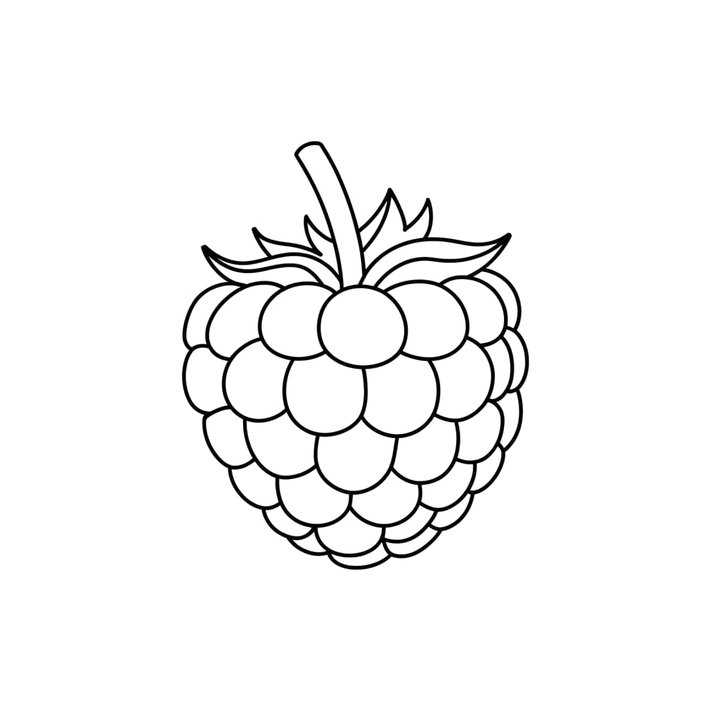 Bel lampone da colorare