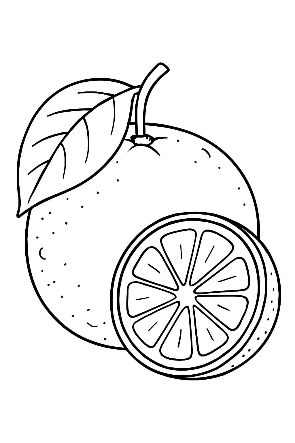 Bella arancia dolce da colorare