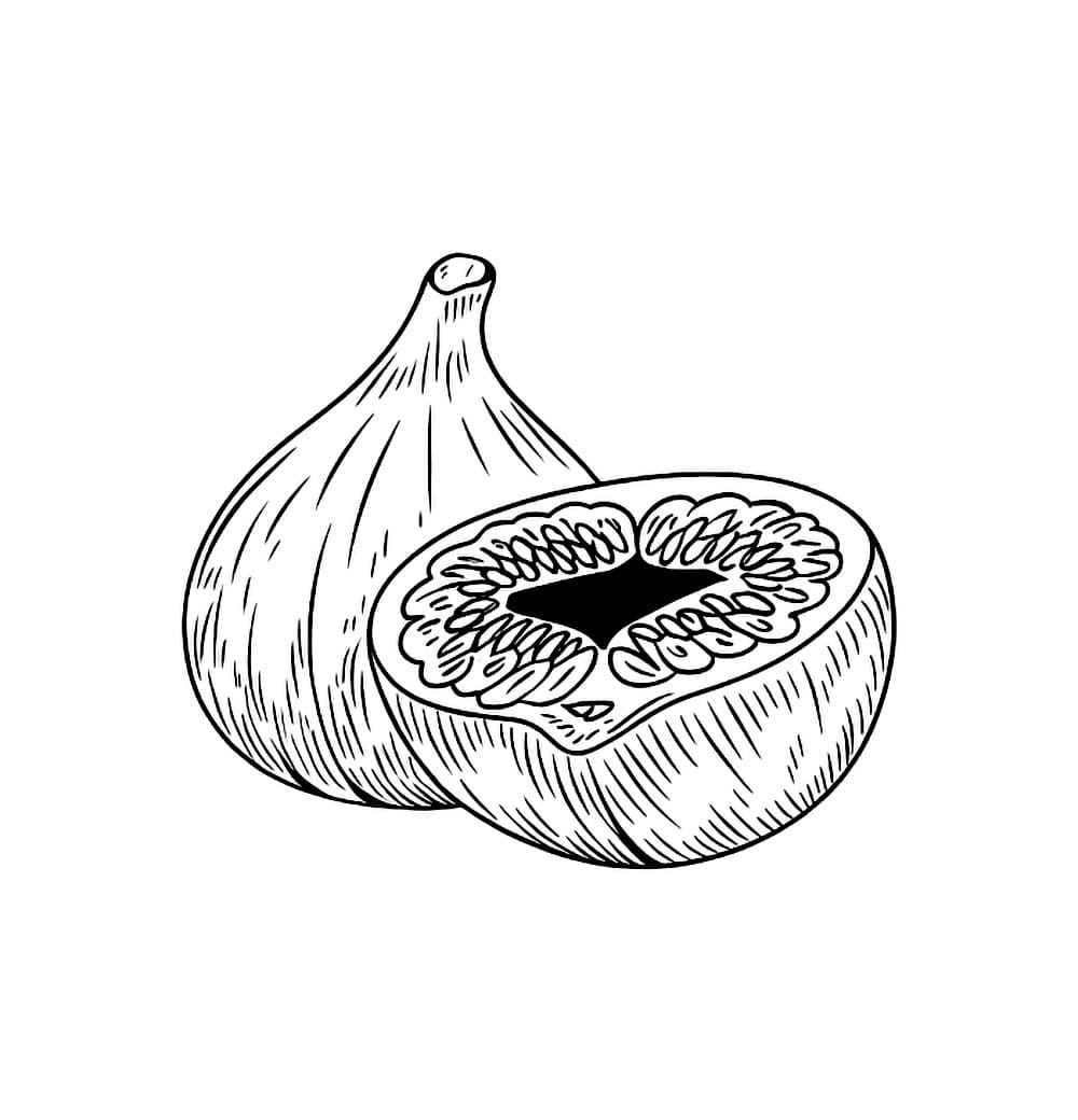 Bellissimi fichi da colorare