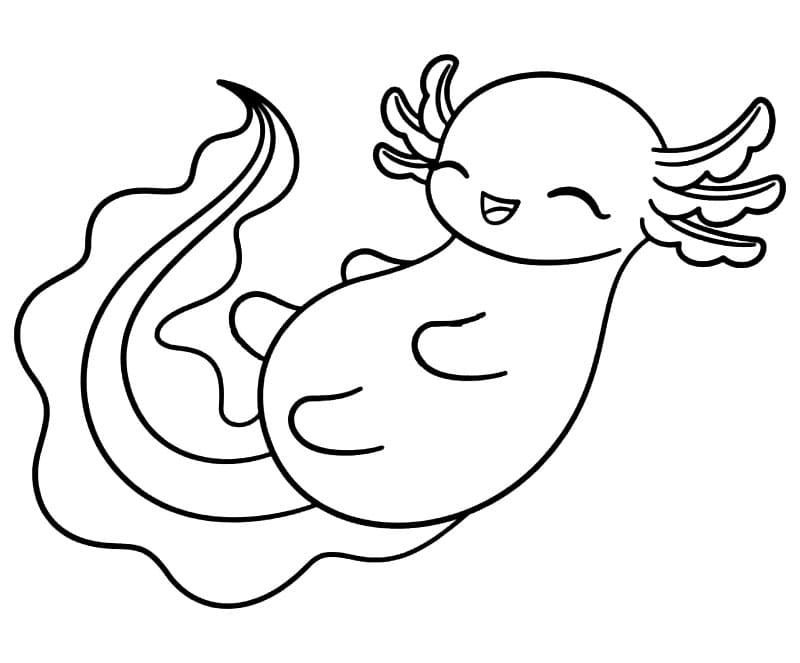 Bellissimo axolotl da colorare