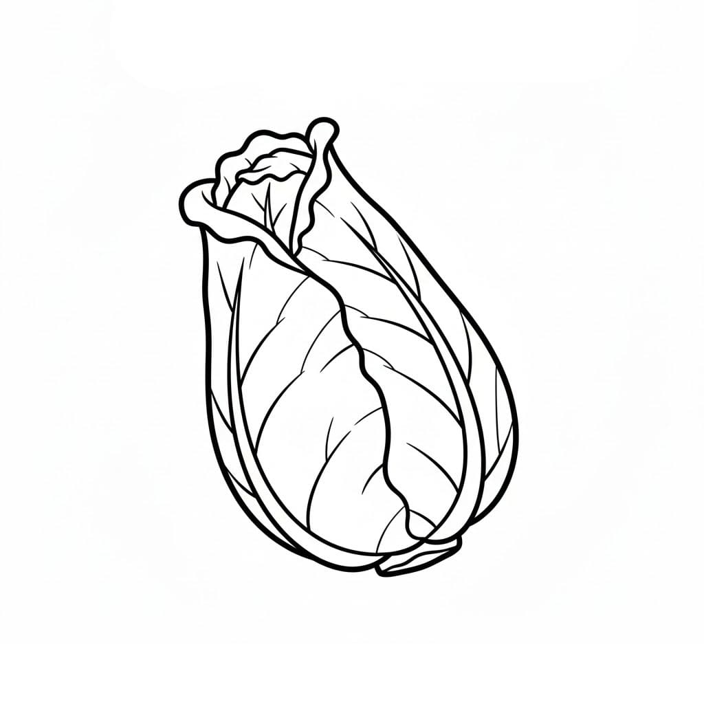 Bellissimo cavolo da colorare