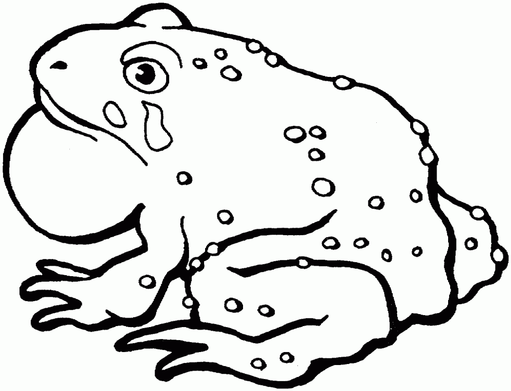 Big Toad da colorare