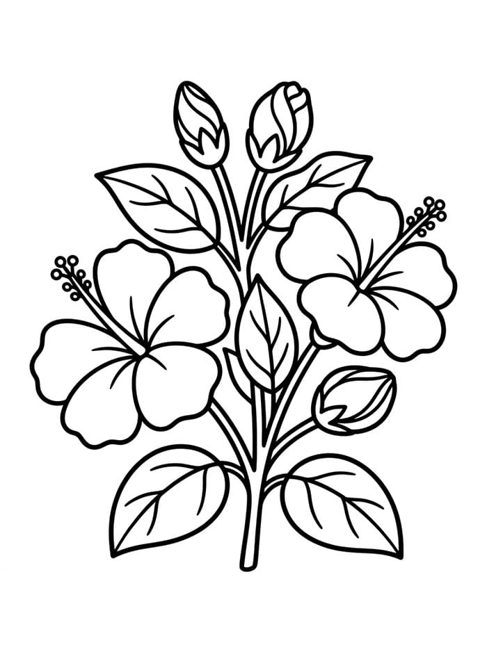 Boccioli e ibisco da colorare