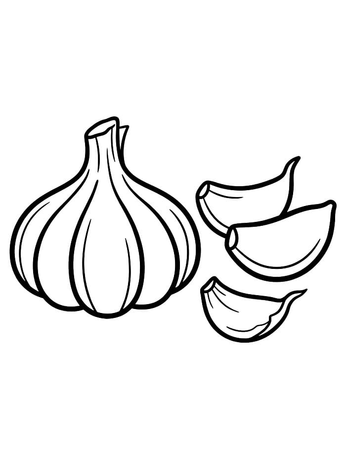 Bulbo d'aglio e spicchi d'aglio da colorare