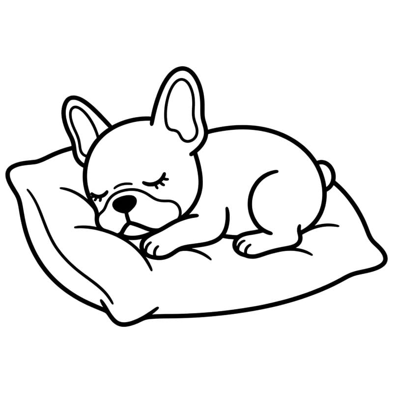 Bulldog francese che dorme da colorare