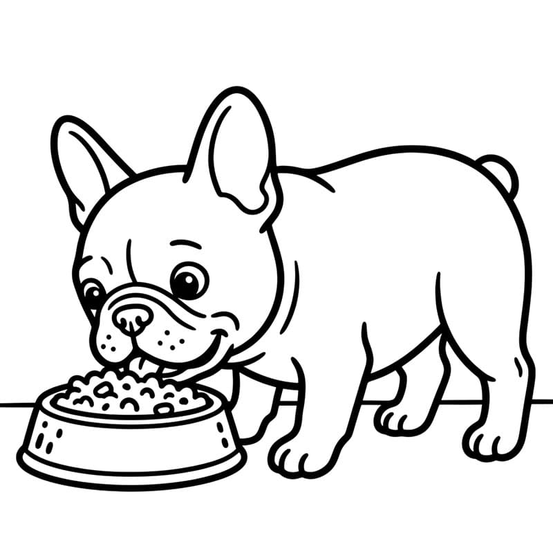 Bulldog francese che mangia da colorare