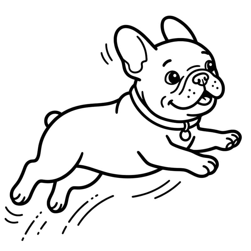 Bulldog francese che salta da colorare