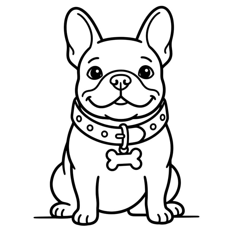 Bulldog francese con collare da colorare