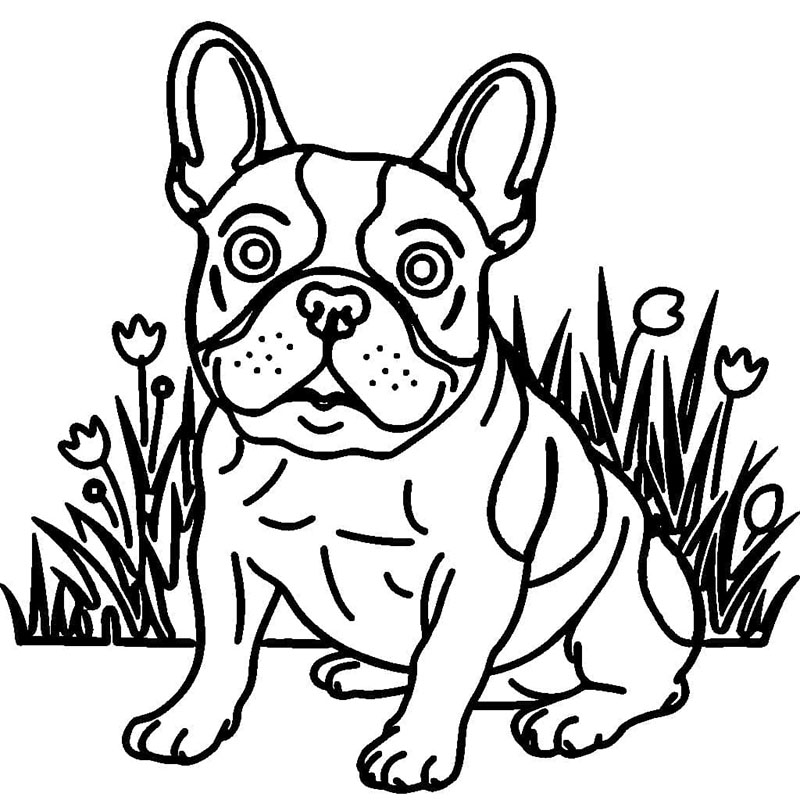 Bulldog francese stampabile gratuitamente da colorare