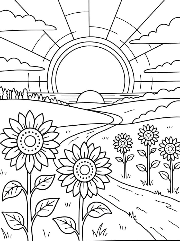 Campo di girasoli al tramonto da colorare