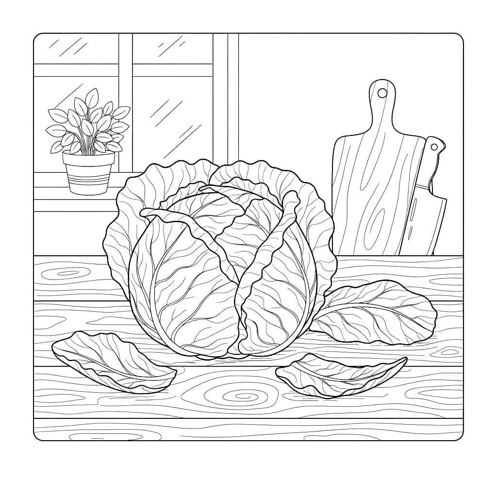 Cavolo da cucina da colorare