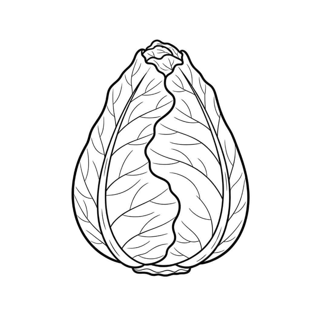 Cavolo piccolo da colorare