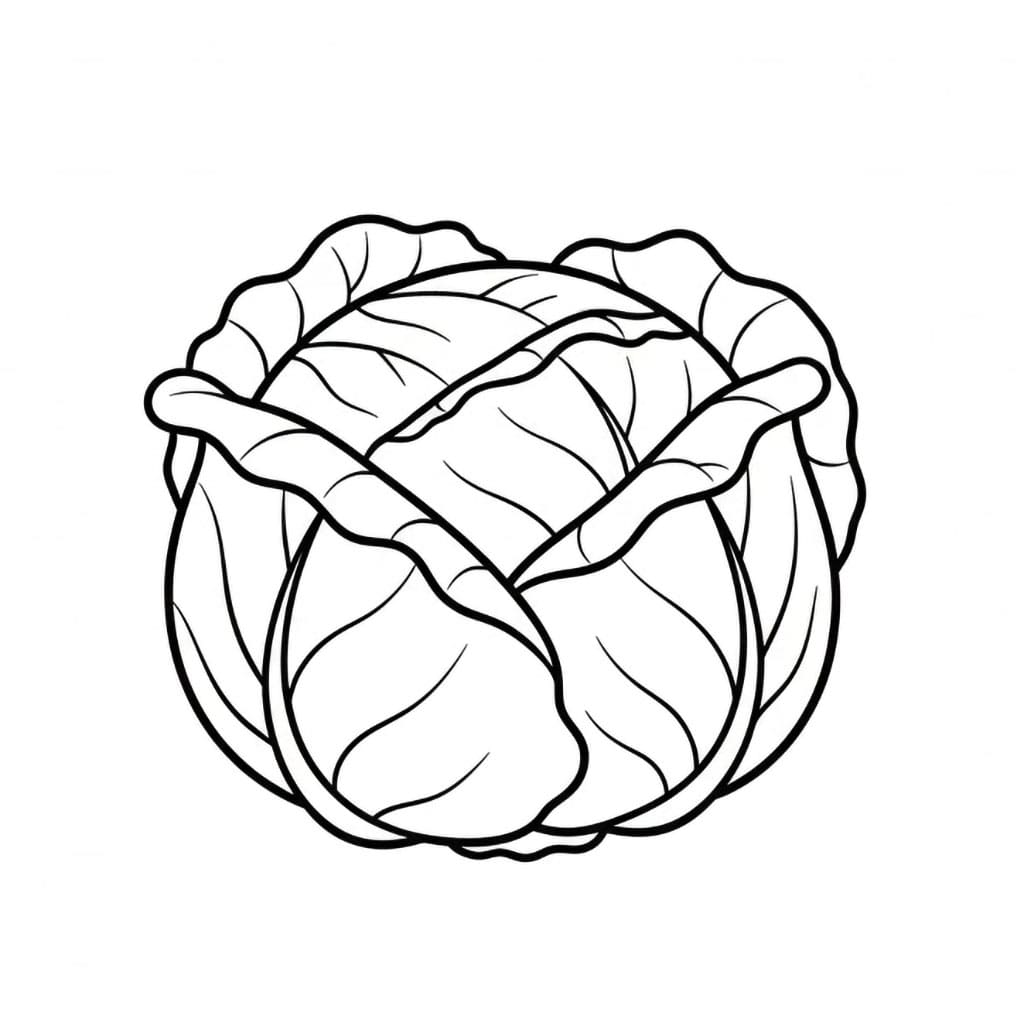 Cavolo singolo da colorare