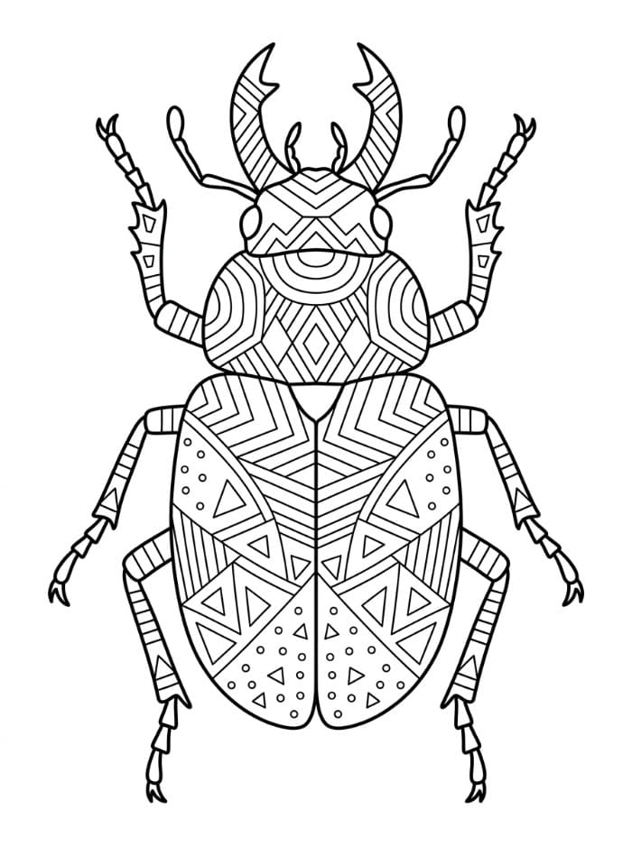 Coleottero con disegni da colorare