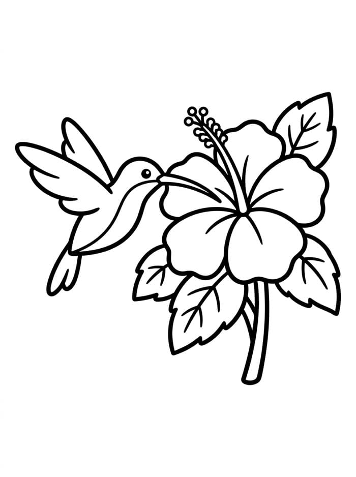 Colibrì e ibisco da colorare