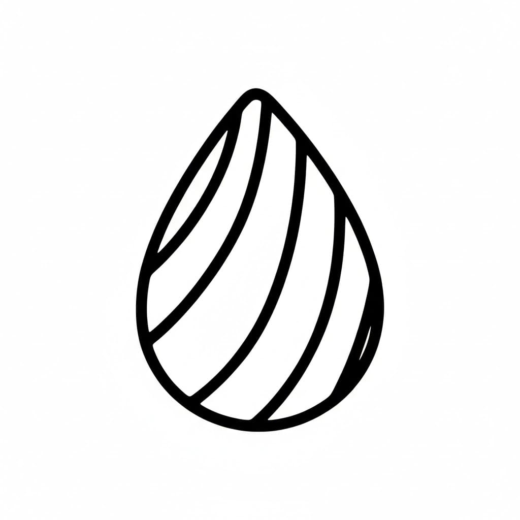 Conchiglia a forma di lacrima da colorare