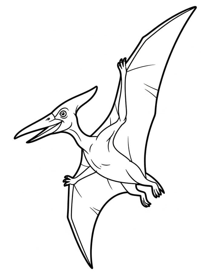 Coppia di pterodattili da colorare