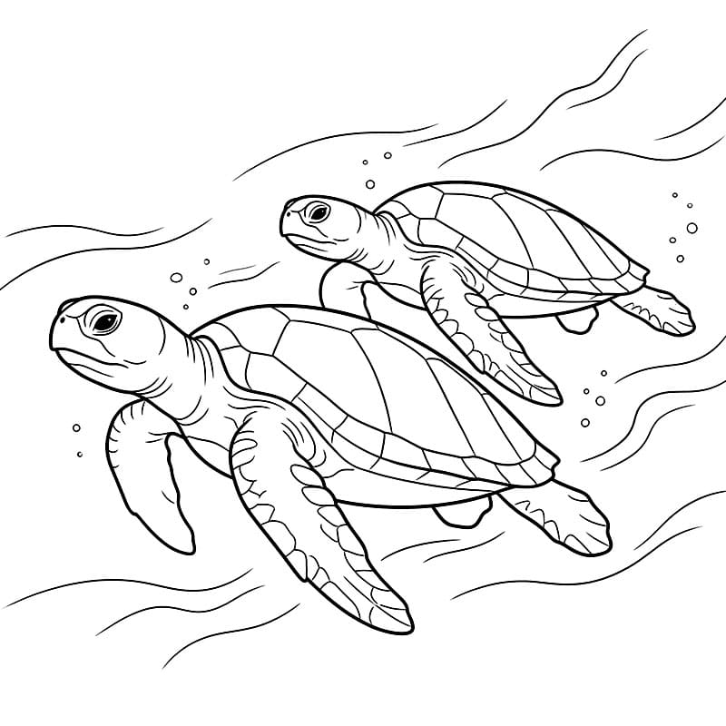 Coppia di tartarughe marine da colorare