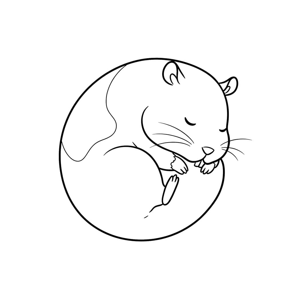 Criceto che dorme da colorare