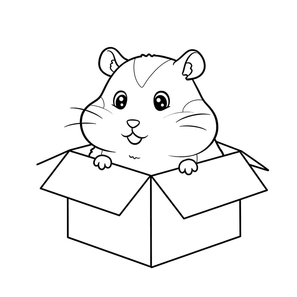 Criceto in una scatola da colorare
