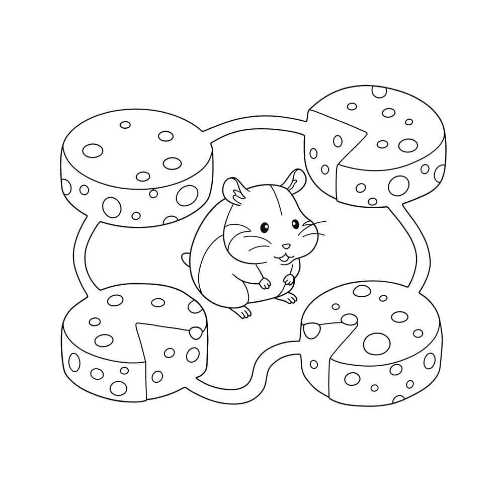 Criceto nel labirinto da colorare