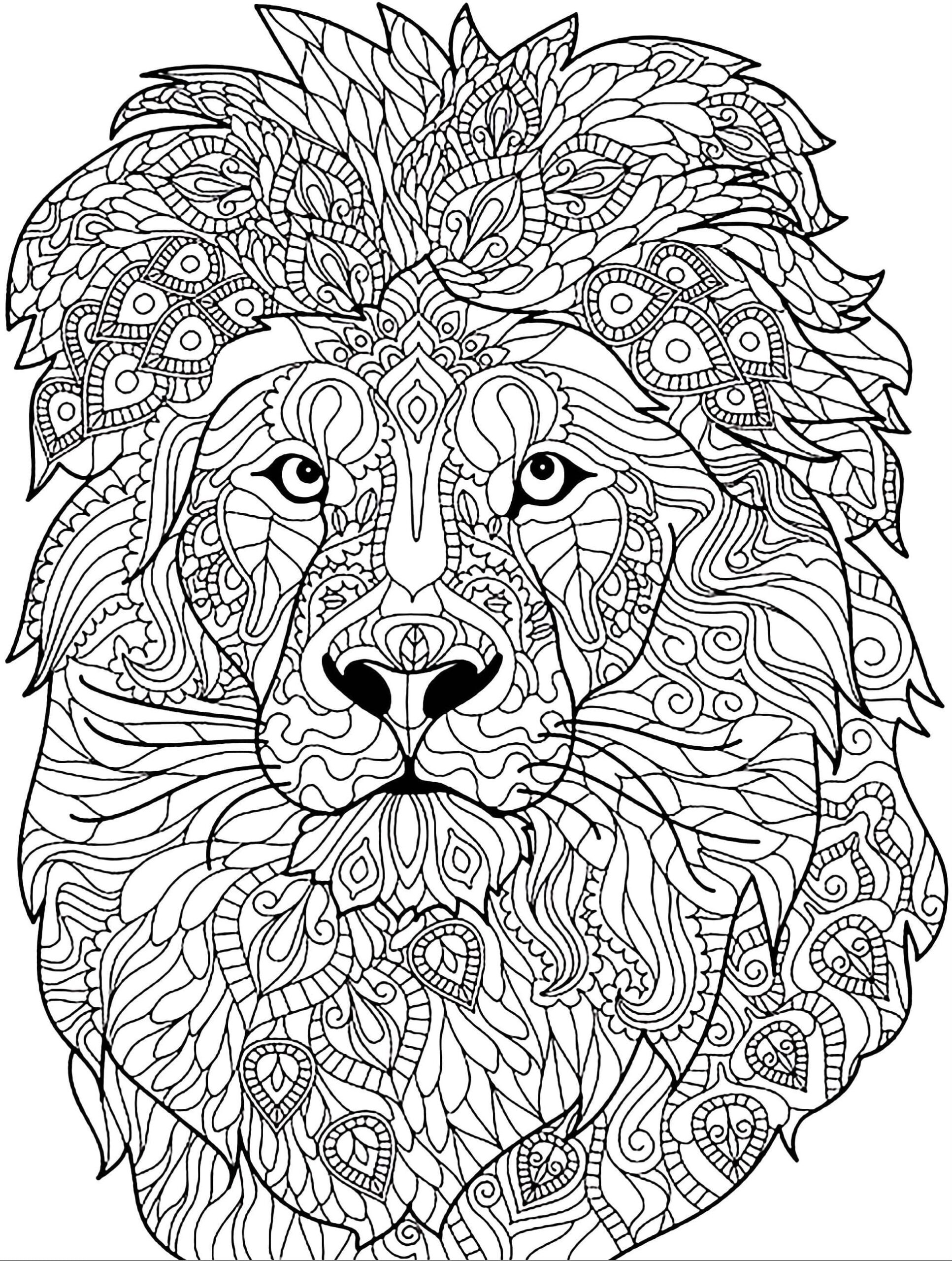 Disegni Di Animali Mandala Da Colorare Disegni Colorare Com