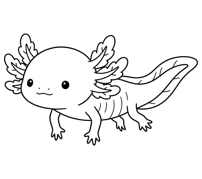 Cuccioli di axolotl da colorare