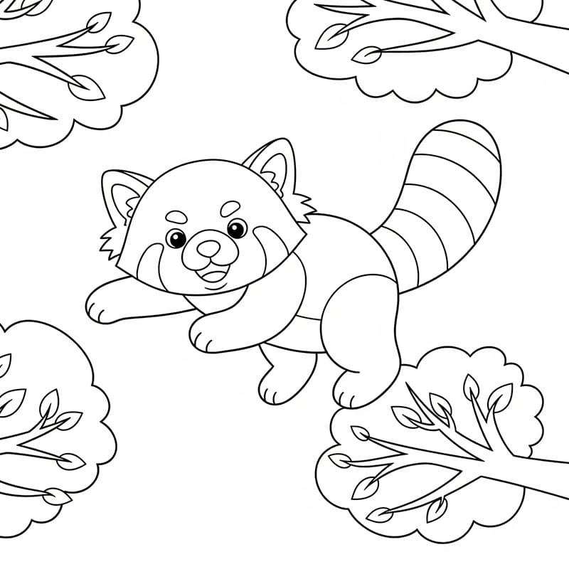 Danza del panda rosso da colorare
