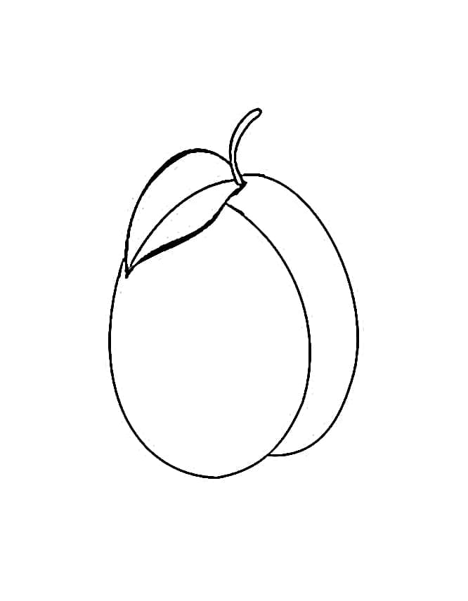 Desenho deAmeixa Normal para colorir da colorare