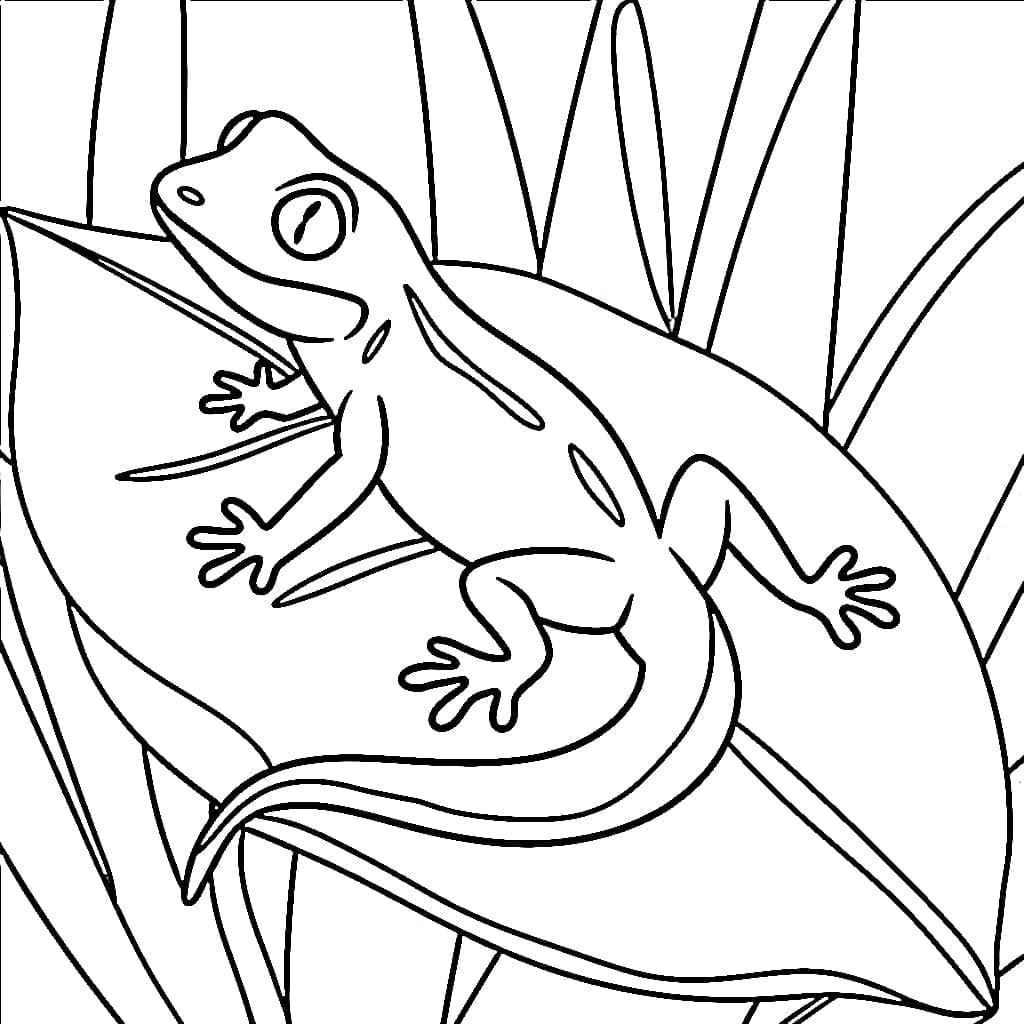 Disegna un geco su una grande foglia da colorare Disegna un geco su una grande foglia da colorare