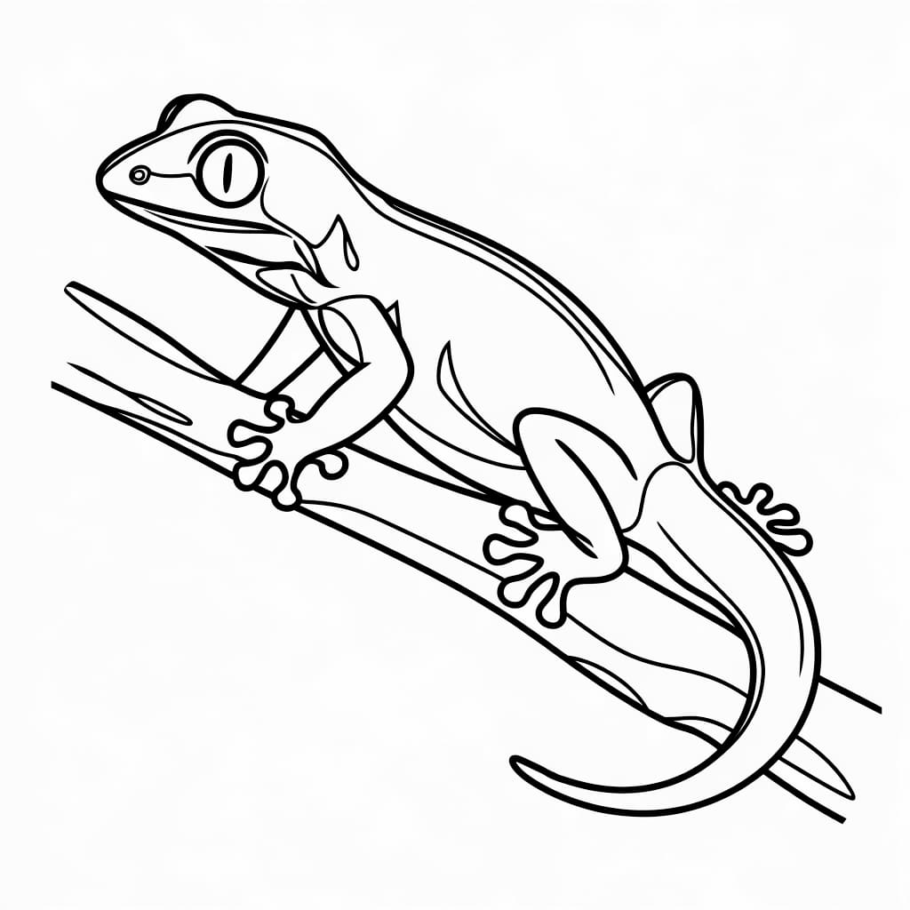 Disegna un geco da colorare Disegna un geco da colorare