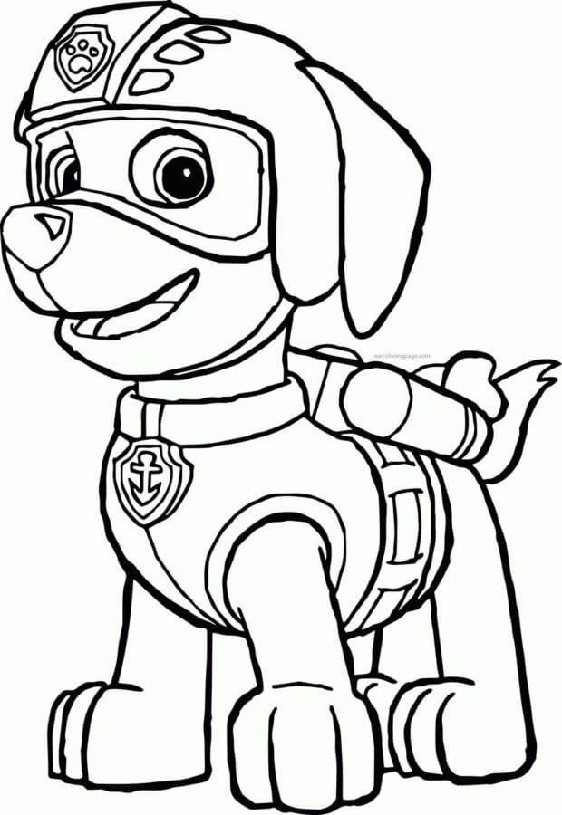 Disegnare Zuma da colorare