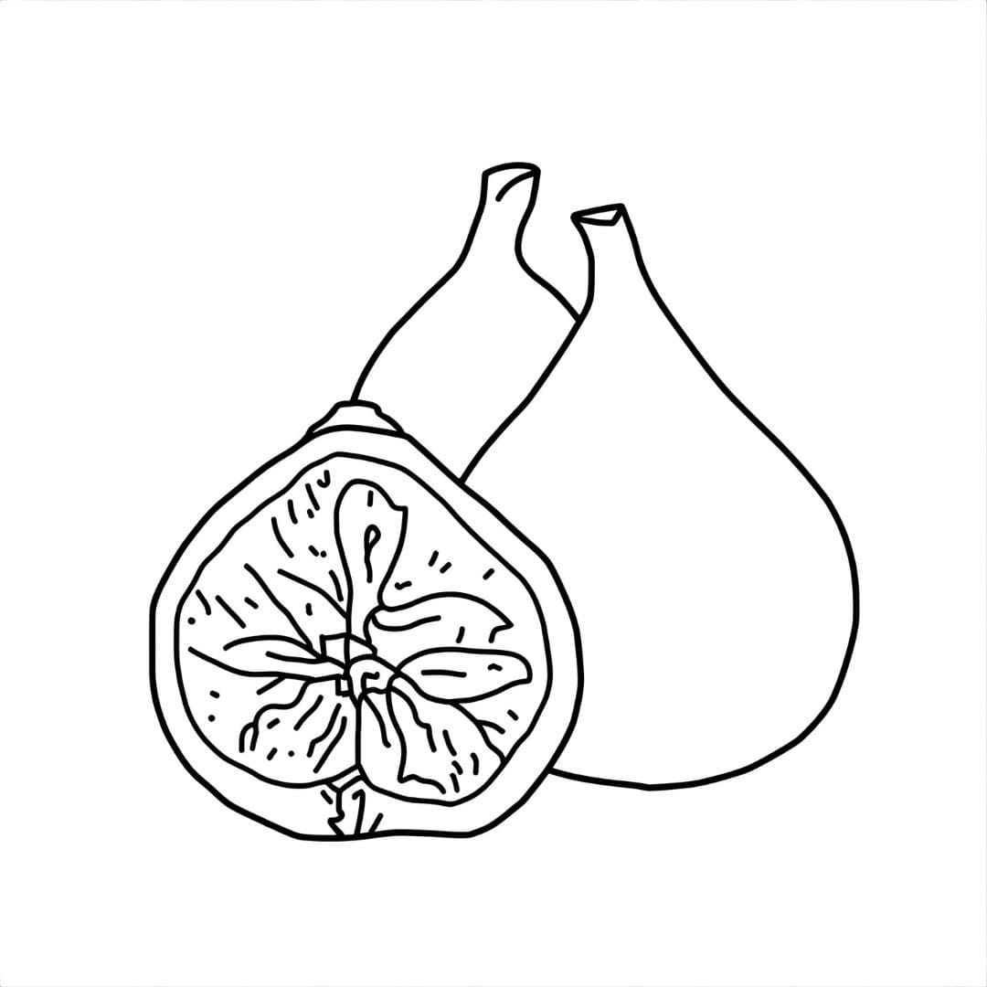 Disegnare un fico semplice da colorare