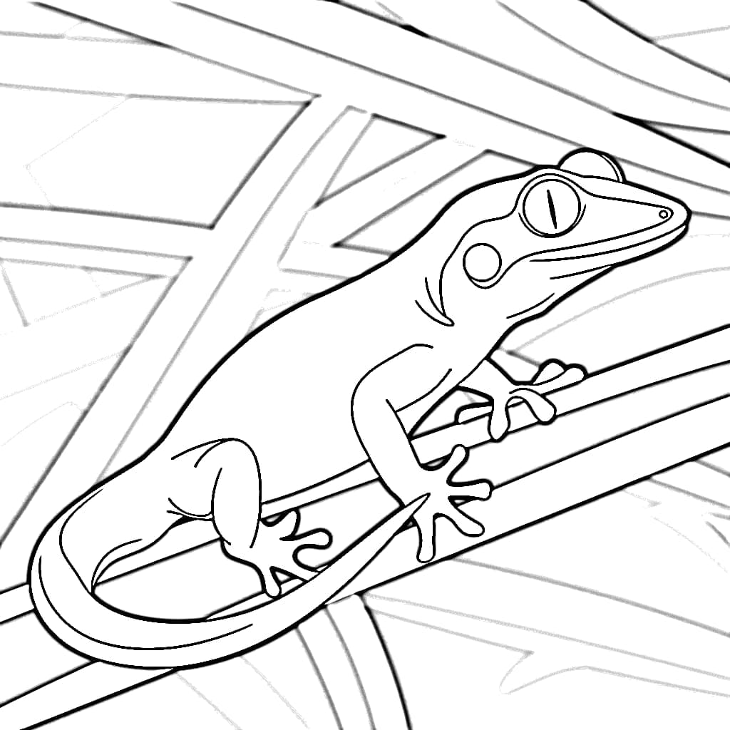Disegnare un geco su una foglia da colorare Disegnare un geco su una foglia da colorare