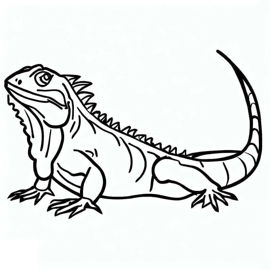 Disegno di Iguana da colorare Disegno di Iguana da colorare