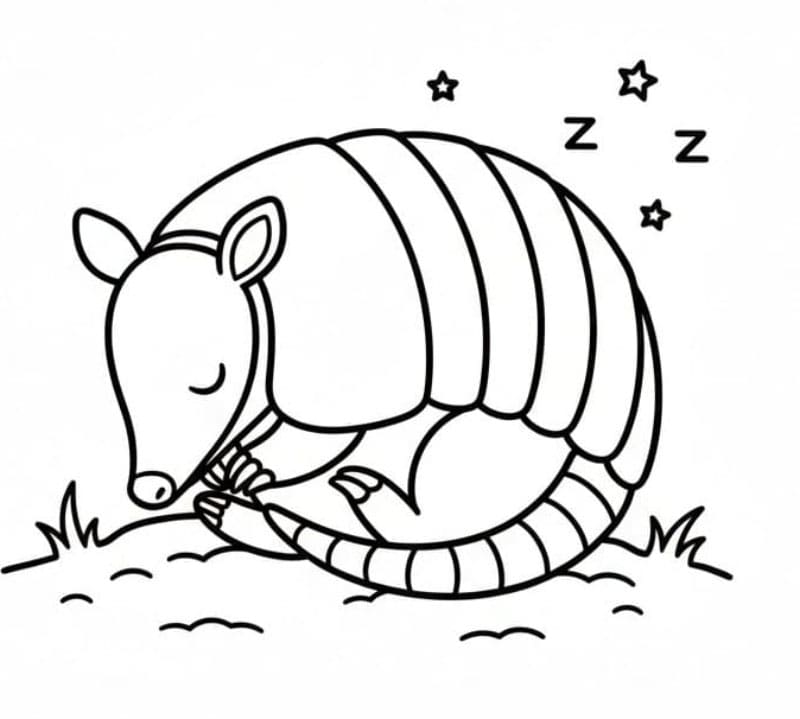 Disegno di armadillo gratuito da colorare