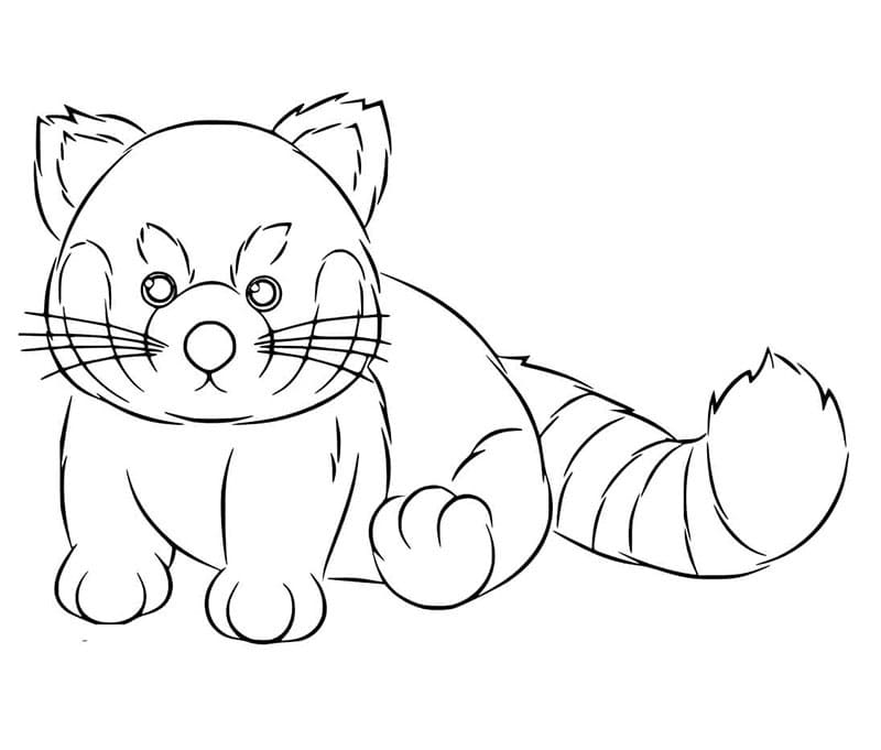 Disegno di un panda rosso da colorare