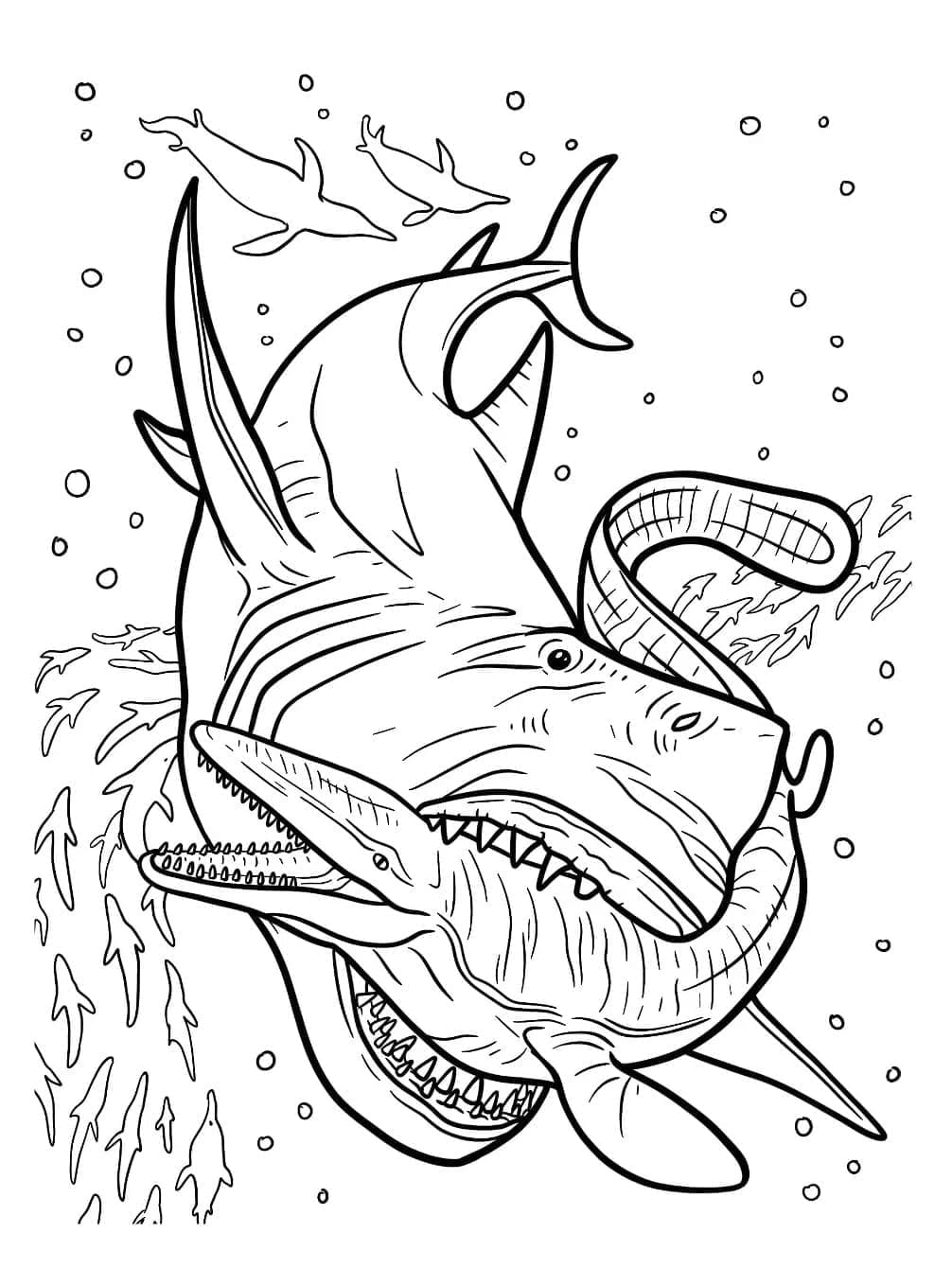 Disegno gratuito del Megalodonte da colorare