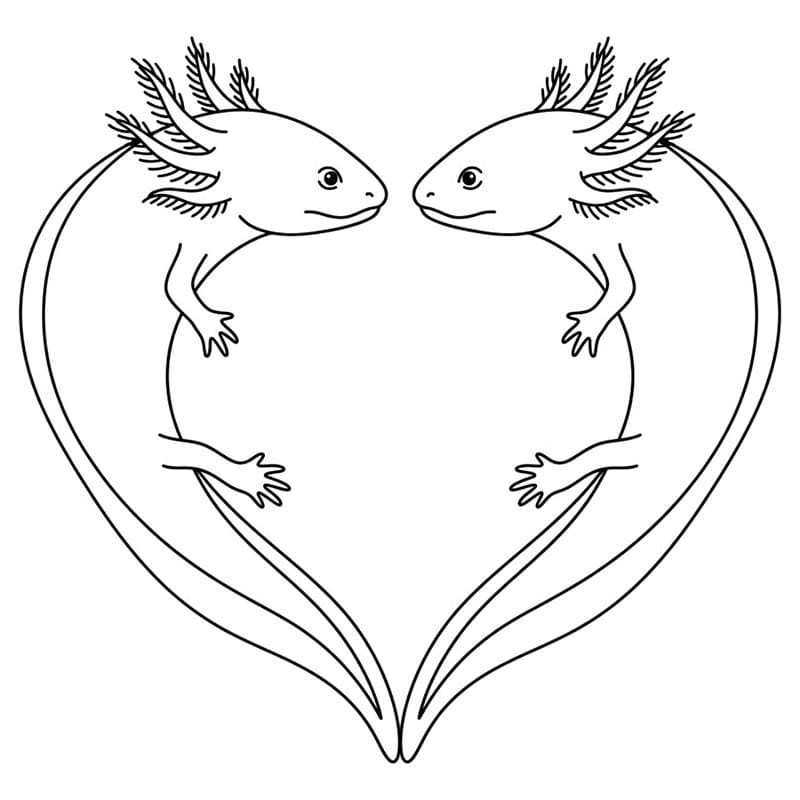 Due axolotl simmetrici da colorare