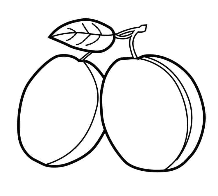 Due prugne da colorare