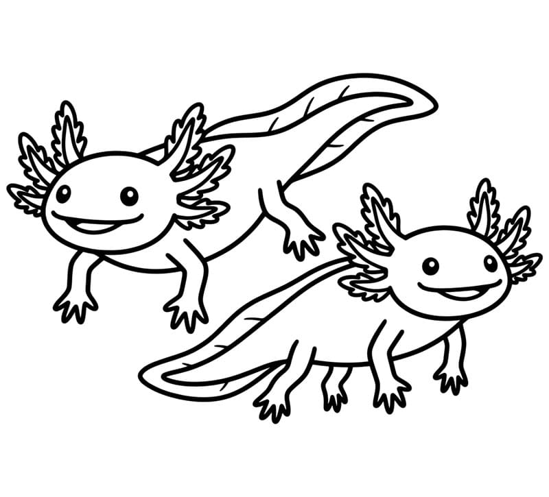 Due semplici axolotl da colorare