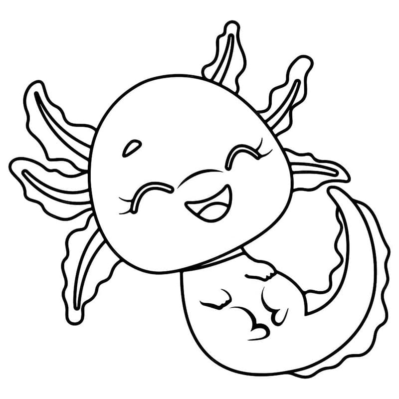 Axolotl