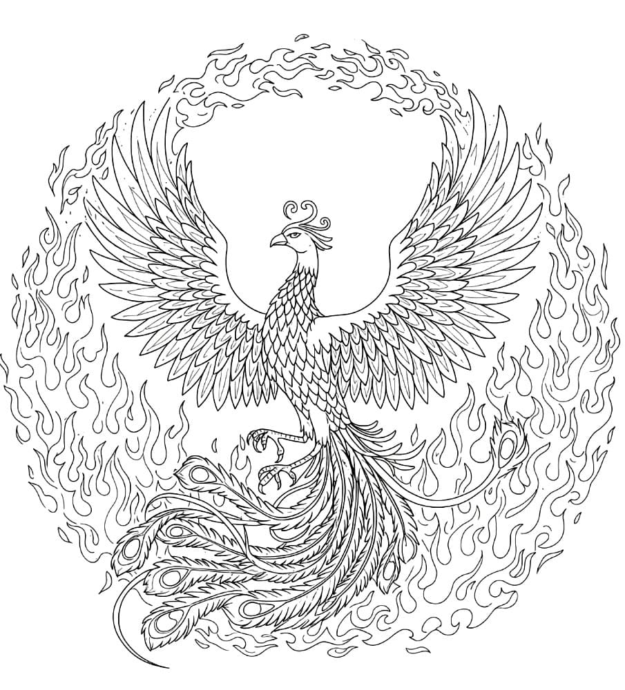 Fenice che spiega le ali da colorare