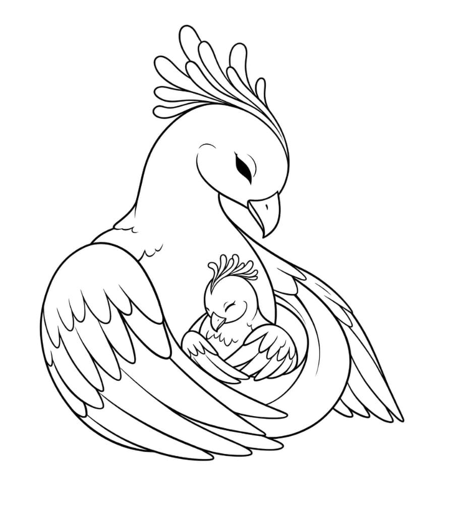 Fenice cicciottella da colorare