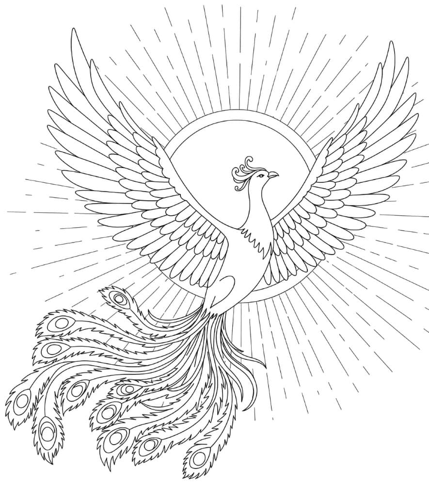 Fenice del sole da colorare