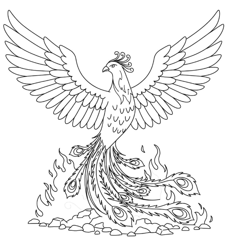 Fenice e Fuoco da colorare