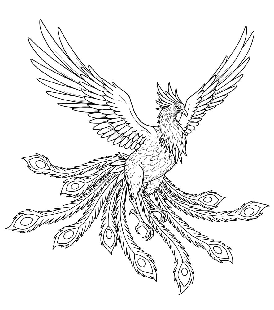 Fenice maestosa da colorare