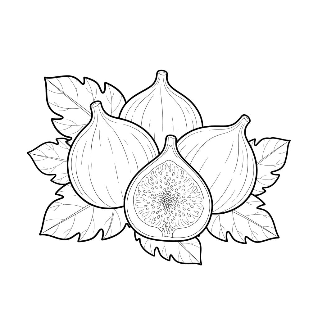 Fichi con foglie da colorare