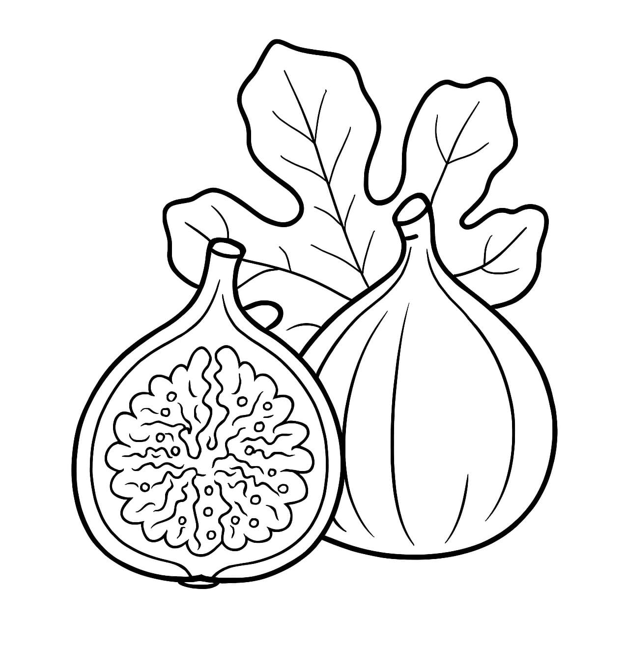 Fichi e foglie da colorare
