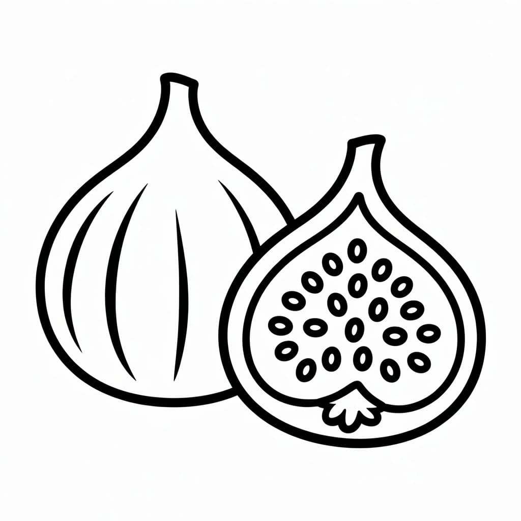 Fichi e metà semplicemente da colorare